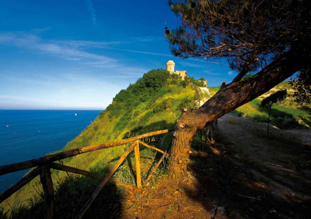 Demanio, Temporary Use per il Parco del Cardeto (AN)