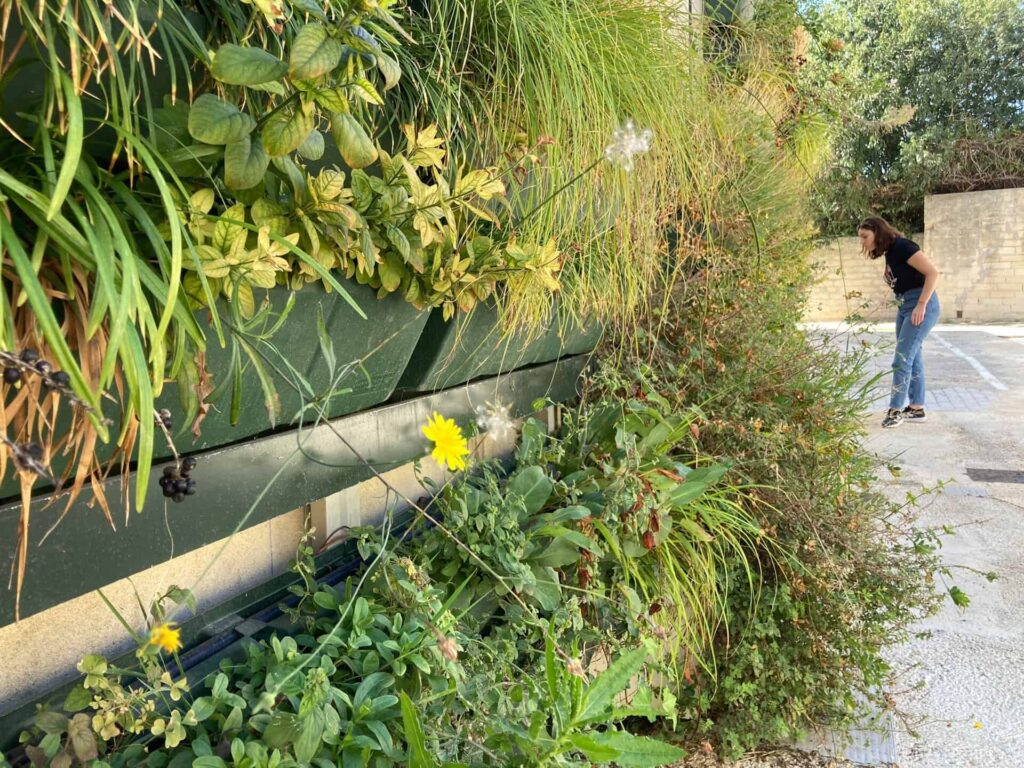 Roma anticipa le capitali Ue, a fine anno il piano verde e natura. Orti, giardini e alberi: i progetti in campo nei municipi