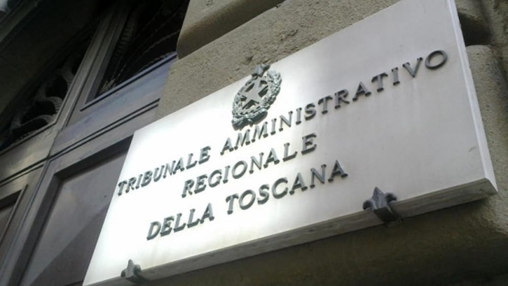 La mancata programmazione di un acquisto non determina l’invalidità della procedura di affidamento