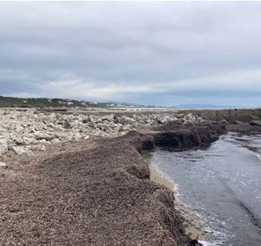 La metà dei comuni costieri ha le spiagge sempre più erose. Legambiente: manca un piano coste e i soldi per il Piano adattamento clima. I programmi di Inghilterra e Spagna e le best practice in Italia e Belgio