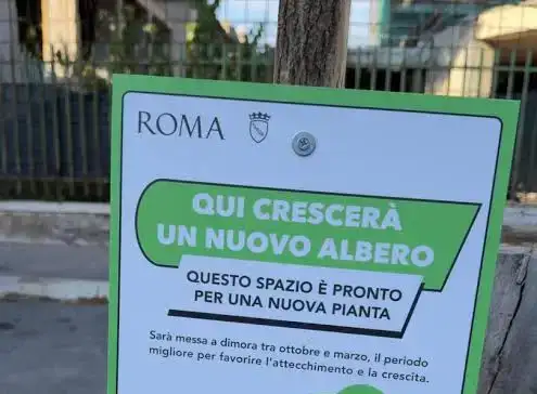 Isole di calore, alberi sostituiti con piantine, vivai pubblici chiusi e pozzi da riattivare: tutte le sfide di Roma per diventare città verde. “A fine anno obiettivo 7 ettari depavimentati”