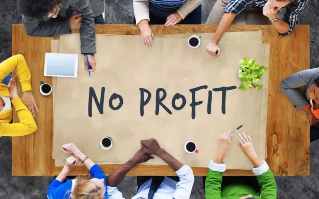 Gli enti no profit possono partecipare alle gare purché rispettino le norme sulla concorrenza e la sostenibilità economica delle offerte